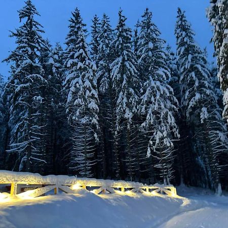 Hotel Algara Hut Paničišče Exteriér fotografie