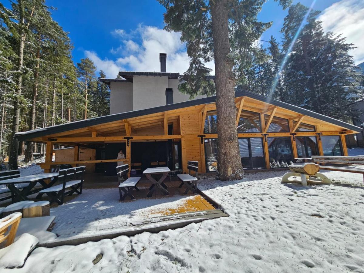 Hotel Algara Hut Paničišče Exteriér fotografie
