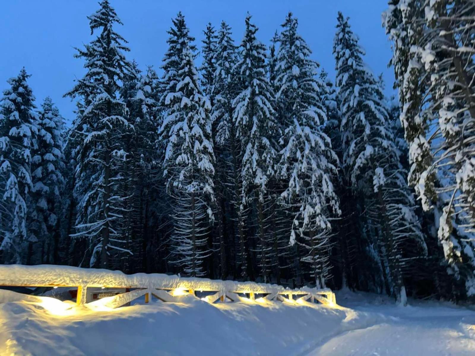 Hotel Algara Hut Paničišče Exteriér fotografie