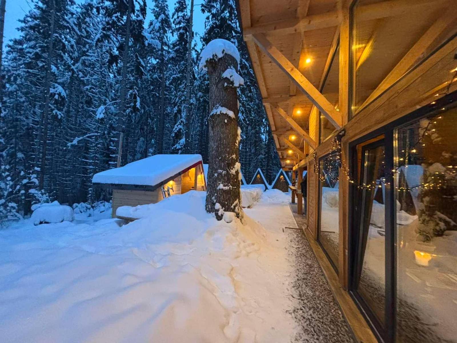 Hotel Algara Hut Paničišče Exteriér fotografie