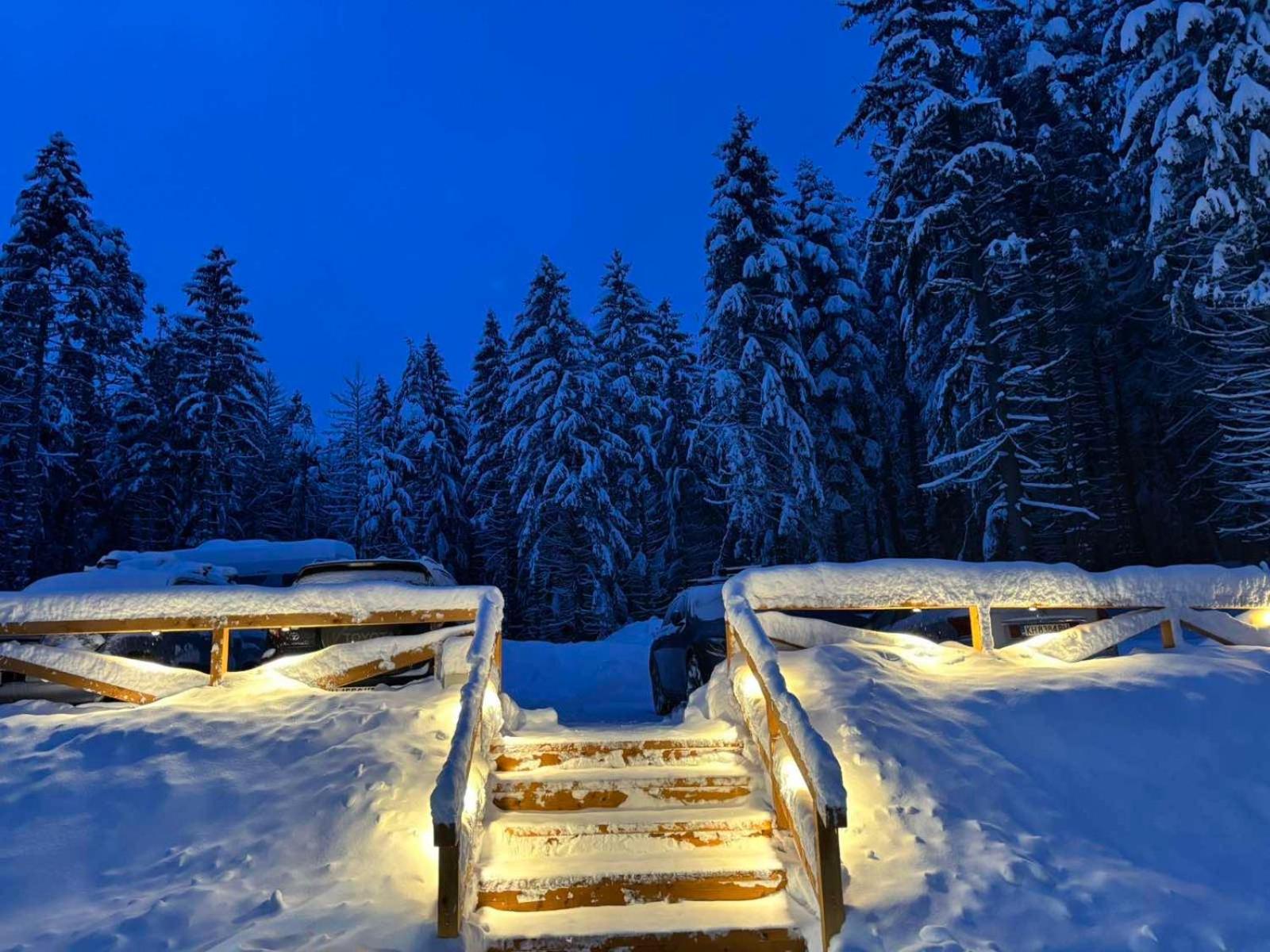 Hotel Algara Hut Paničišče Exteriér fotografie